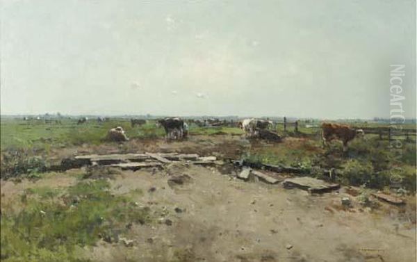 Milking Time - view 1