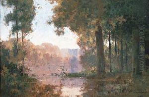 A Woodland Marsh