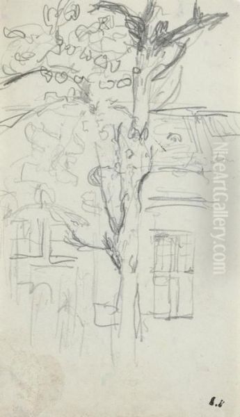 Arbre Devant Une Maison - view 1