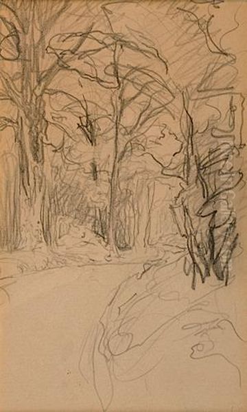 Chemin En Foret - view 1