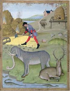Illustration from the Book of Simple Medicines by Mattheaus Platearius d.c.1161 c.1470 14 by Robinet Testard