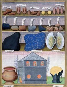 Illustration from the Book of Simple Medicines by Mattheaus Platearius d.c.1161 c.1470 10