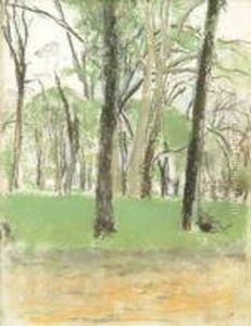 Le Deux Troncsnoirs Dans Le Parc Le Deux Troncsnoirs Dans Le Parc