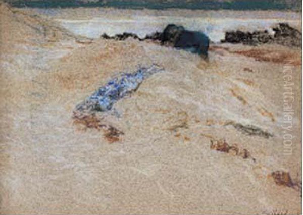 Bord De Mer Ou Enfant Jouant Dans Les Dunes - view 1
