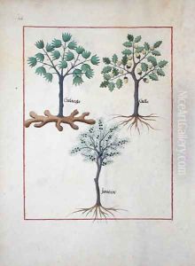Illustration from the Book of Simple Medicines by Mattheaus Platearius d.c.1161 c.1470 7