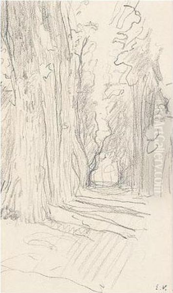 L'allee Aux Grands Arbres, Au Chateau Des Clayes - view 1
