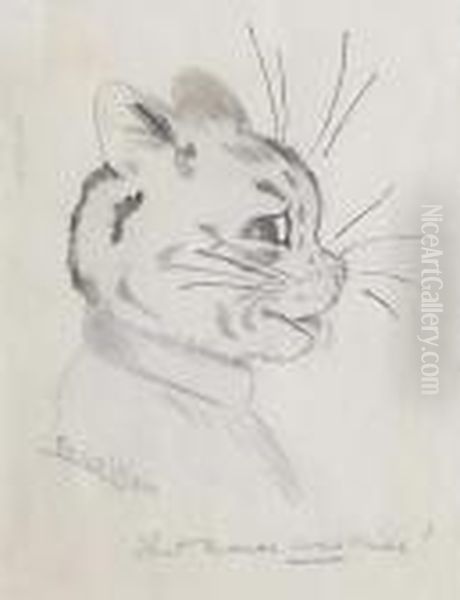 The Mouse Was Nice! - view 1