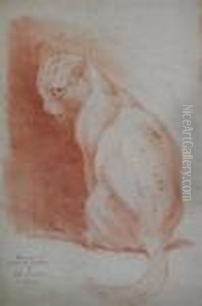 Seated Cat - view 1