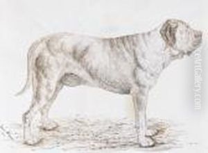"celebrated Dogs - Crown Prince" And "sultan Ii"