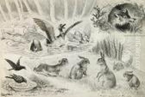 Untitled, Animals Cavorting At A Pond - view 1