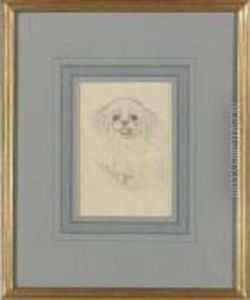 Sketch Of A Dog by Louis Wain