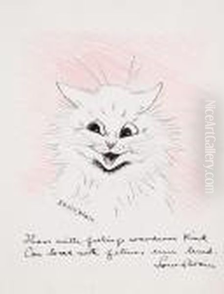 Cat - view 1
