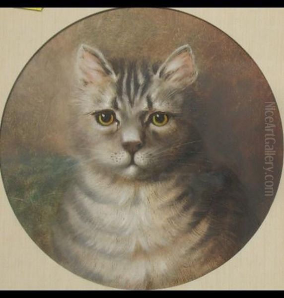 Portrait Of A Cat - view 1