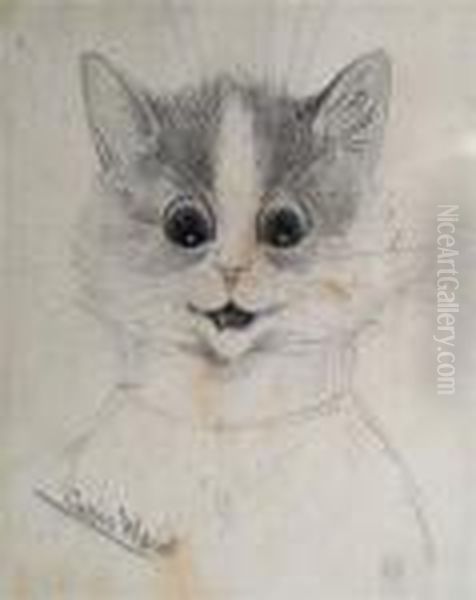 A Study Of A Cat - view 1