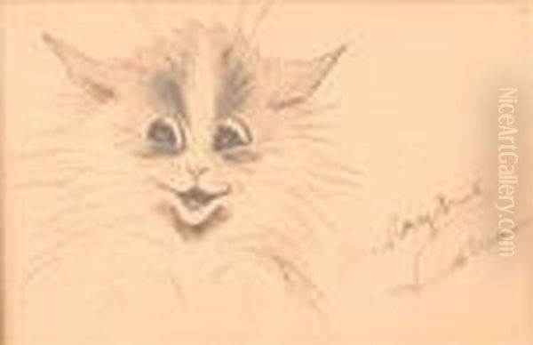 Cat Study - view 1