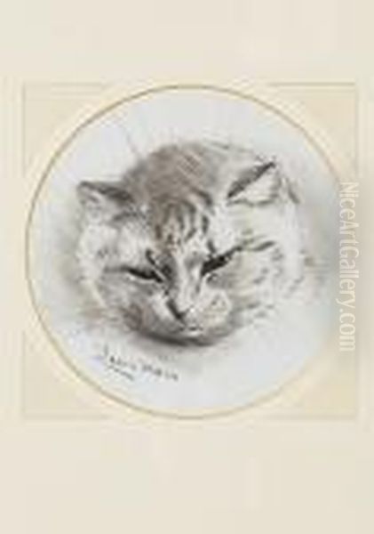 The Sleepy Cat - view 1