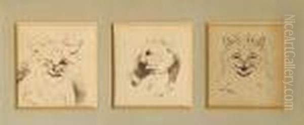 Wink Wink; Unbelievable!; How Delightful! (aset Of Three Within One Frame) - view 1
