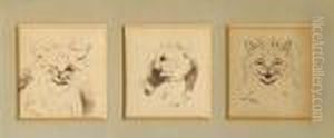 Wink Wink; Unbelievable!; How Delightful! (aset Of Three Within One Frame) by Louis Wain