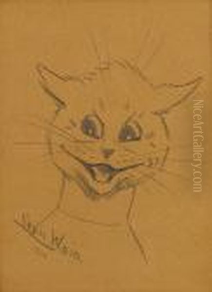 A Suprised Cat - view 1