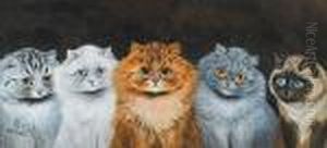 Five Cats