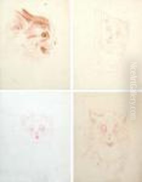Four Studies Of Cats In One Frame - view 1