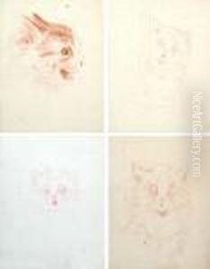 Four Studies Of Cats In One Frame by Louis Wain