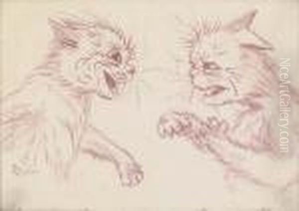 Two Cats Fighting - view 1