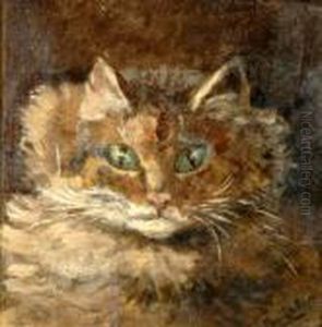 Cat Portrait Head, Signed Oil On Board, 16x16cm