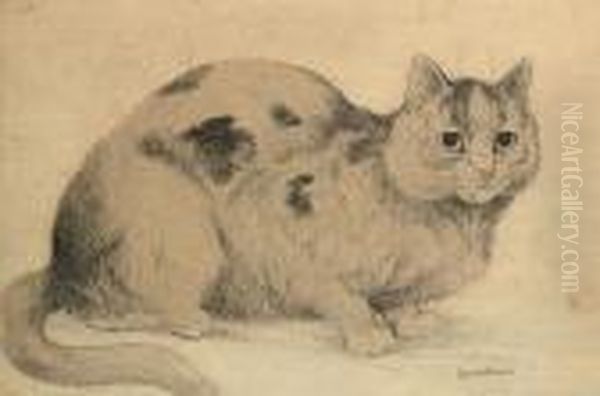 Fat Cat - view 1