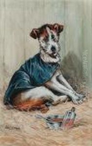 Jack's Little Mary Is Upset, Throw Physic To The Dogs