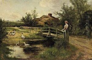 By The Duck Pond
