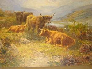 Highland Cattle