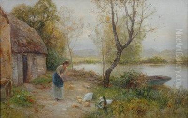 Feeding Ducks. - view 1