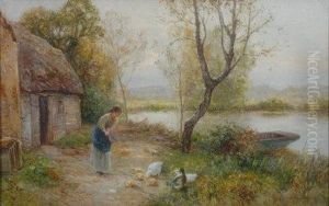 Feeding Ducks.