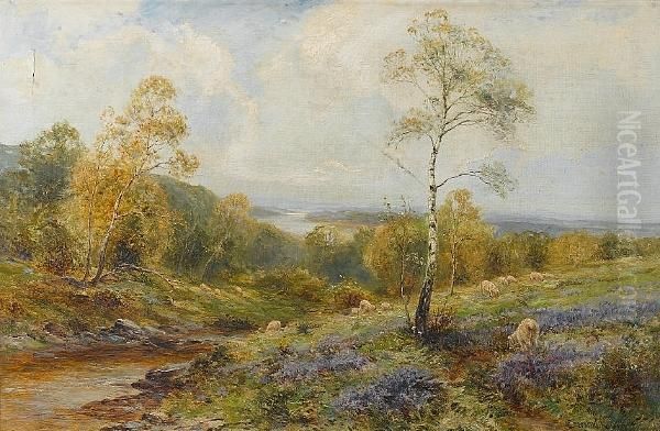 Sheep Grazing In A Landscape - view 1