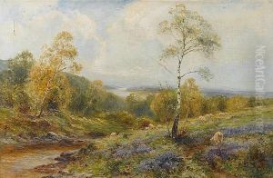 Sheep Grazing In A Landscape