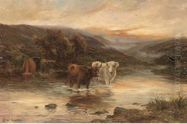 Highland Cattle Watering In A River Landscape - view 1