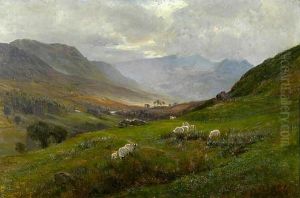 Sheep Grazing In An Extensive Valley Landscape