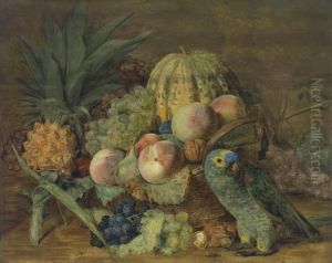 Still Life Withfruit And A Parrot From The Amazon