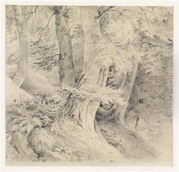 A Study Of Awood - view 1