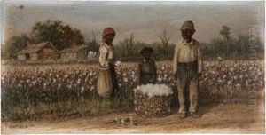 Cotton Field
