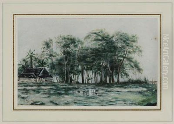 "indian Key,
Florida - view 1