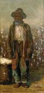 Ramasseur De Coton