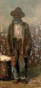 Ramasseur De Coton (old Cotton Picker)