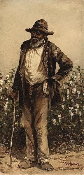 In The Cotton Fields - view 1