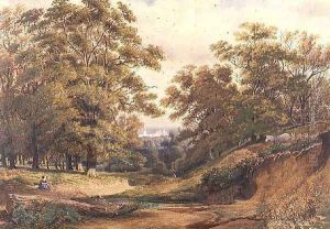 A Scene in Bagley Wood near Oxford by William Turner