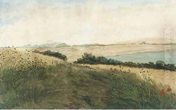 Path through a cornfield with poppies and other wild flowers - view 1