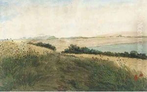 Path through a cornfield with poppies and other wild flowers by William Turner
