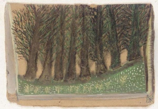Trees - view 1
