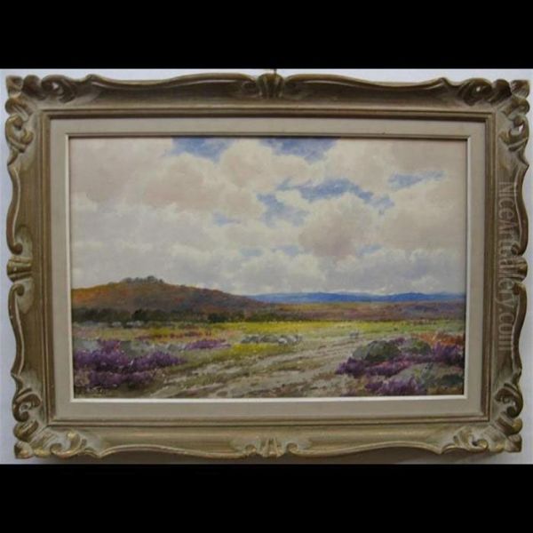 Highland Landscape With Grazing Sheep - view 1